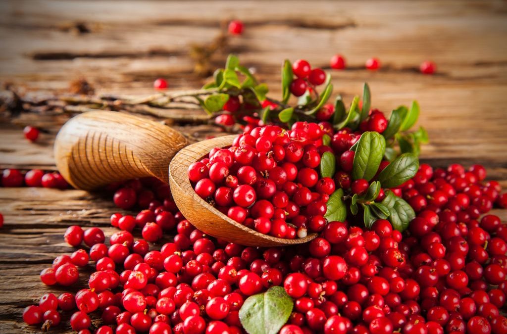 Les Cranberries, un puissant atout santé